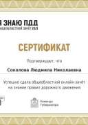 certificate.pdf.jpeg