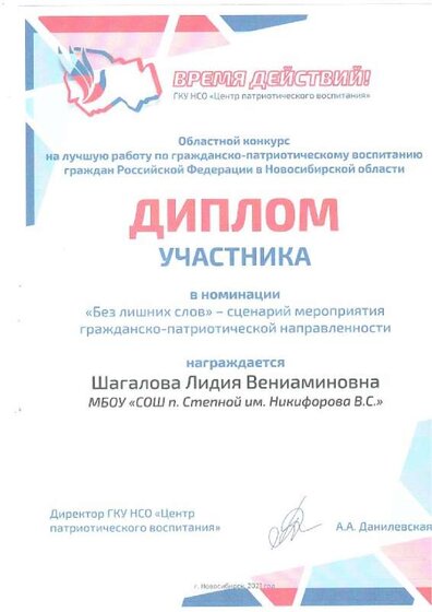 Без лишних слов диплом.pdf.jpeg