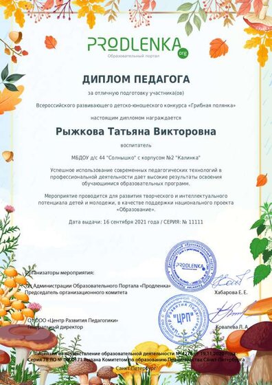 диплом рыжкова.pdf.jpeg
