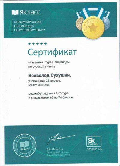 Сертификат по русскому.jpg