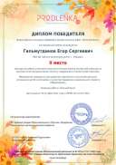 winner_diploma.pdf.jpeg