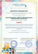 winner_diploma.pdf.jpeg