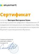 Сертификат Skysmart.pdf.jpeg