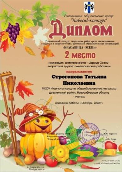 Строгонова Татьяна Николаевна.jpg