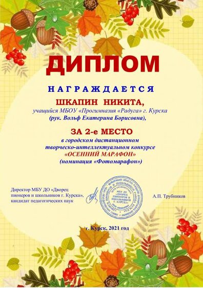 Шкапин.pdf.jpeg