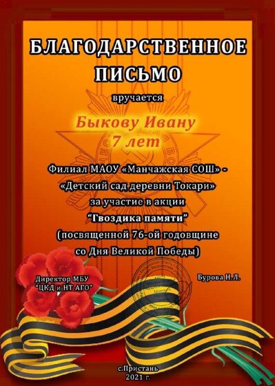 Воспитанники доу Токари (5).jpg