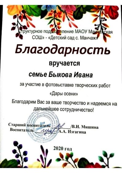 Воспитанники доу Токари (14).jpg