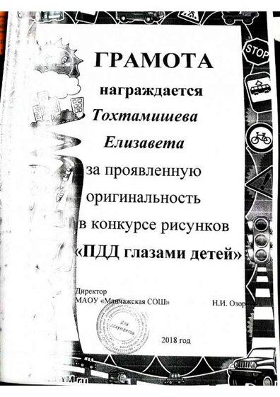 Воспитанники доу Токари (26).jpg
