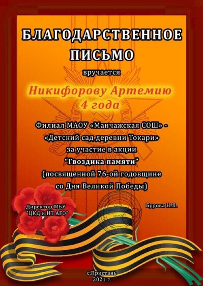 Воспитанники доу Токари (7).jpg