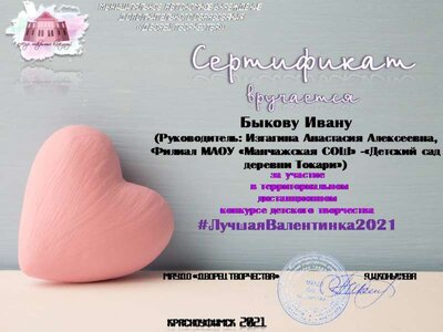 Воспитанники доу Токари (74).JPG