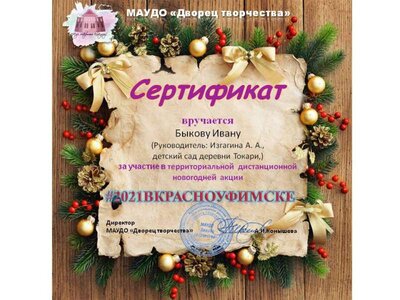 Воспитанники доу Токари (76).jpg