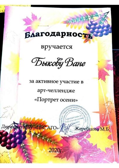 Воспитанники доу Токари (12).jpg