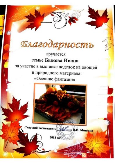 Воспитанники доу Токари (38).jpg
