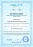 sertificat Карлсон на празднике - день Российской армии.pdf.jpeg