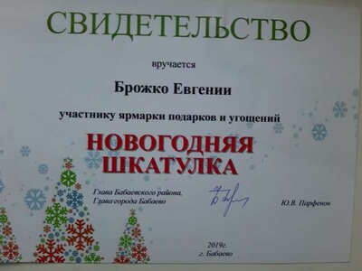 Приложение №91 Свидетельство участника ярмарки подарков и угощений Новогодняя шкатулка.jpg