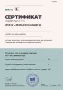 Сертификат ЯКласс.pdf.jpeg