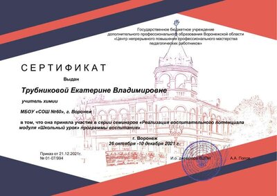 Сертификат Трубниковой Екатерине Владимировне (1).pdf.jpeg
