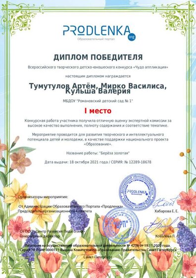 winner_diploma.pdf.jpeg