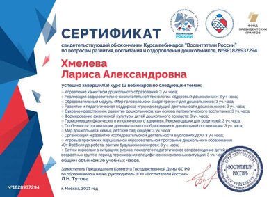 Сертификат Воспитатели России.pdf.jpeg
