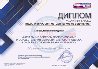 Диплом участника Хмелева Лариса Александровна.pdf.jpeg