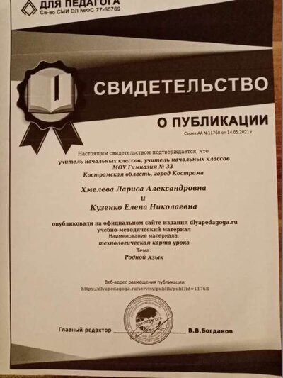 СВид о публикации.jpg