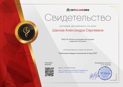 Свидетельство Памятка для младших школьников на тему ЗОЖ.png