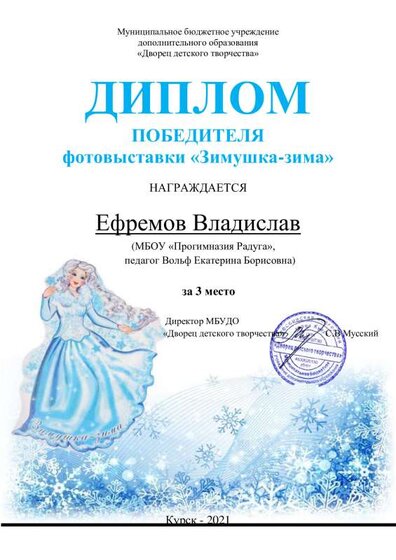 Diplom_Zimushka-Zima_21-22_Efremov_Vladislav.pdf.jpeg