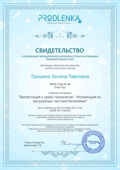 публикация  04.09.17г._Аппликация из засушенных листьев..jpg