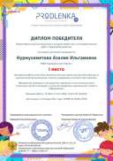 winner_diploma.pdf.jpeg