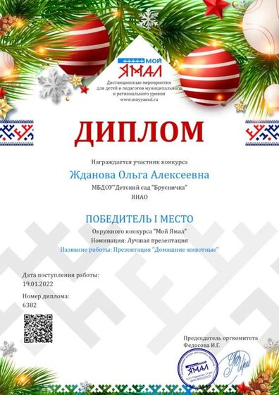 Домашние животные.jpg