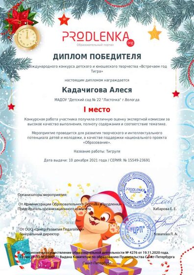 winner_diploma.pdf.jpeg