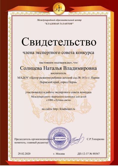 свид-во члена жюри Лучики света.pdf.jpeg