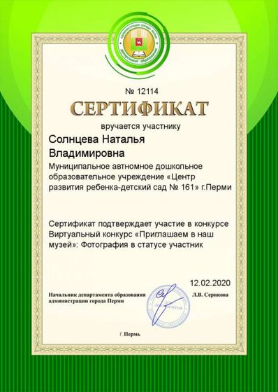 сертификат Солнцева Н.В.  Виртуальный музей, 12.02.2020.png