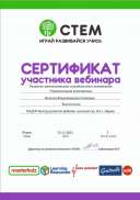 Наталья_Владимировна_Солнцева_3527699.pdf.jpeg
