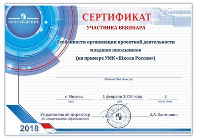 сертификат вебинар роектная деятельность.pdf.jpeg