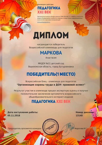 диплом ноябрь.pdf.jpeg