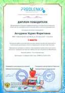 winner_diploma.pdf.jpeg