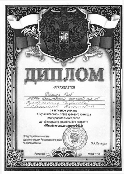 Юный исслед 2018-2.pdf.jpeg