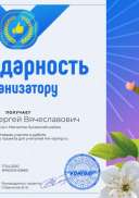 Благодарность организатору (1).png
