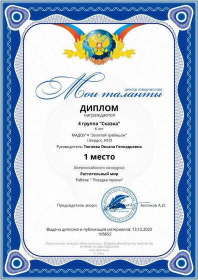 diplom (11).jpg