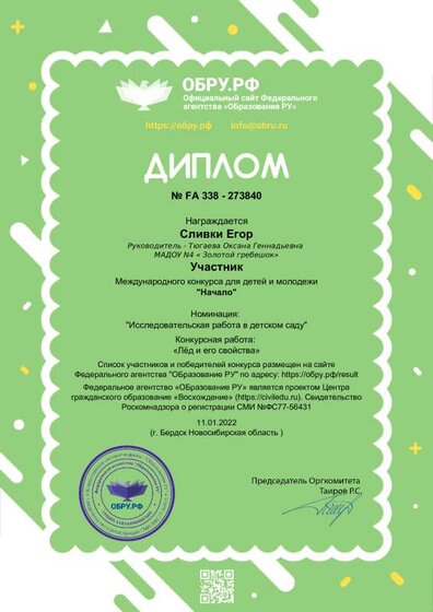 diplom_273840.pdf.jpeg