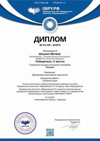 diplom_223275.pdf.jpeg