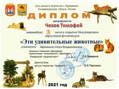 Чехов Тимофей (2).jpg