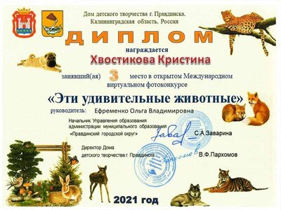 Хвостикова Кристина (2).jpg