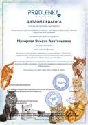teacher_diploma барсиленушка МохиреваОА.PDF.jpeg