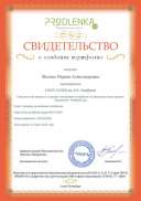 свид электр портфолио.pdf.jpeg