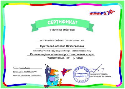 сертификат участника вебинара_Нуштаева Светлана Вячеславовна.pdf.jpeg
