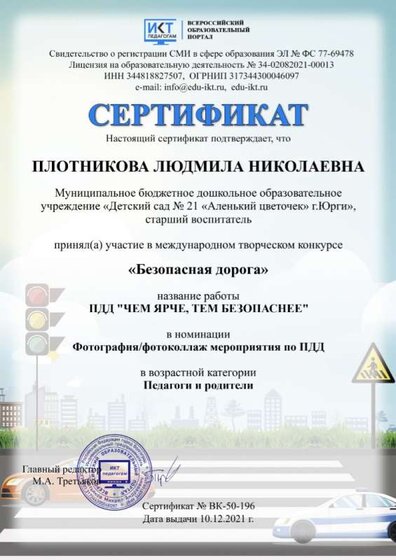 плн пдд .jpg