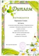 Барышев Семен, 2 место, очарование весны, 2 место ДПИ.jpg