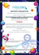 winner_diploma.pdf.jpeg